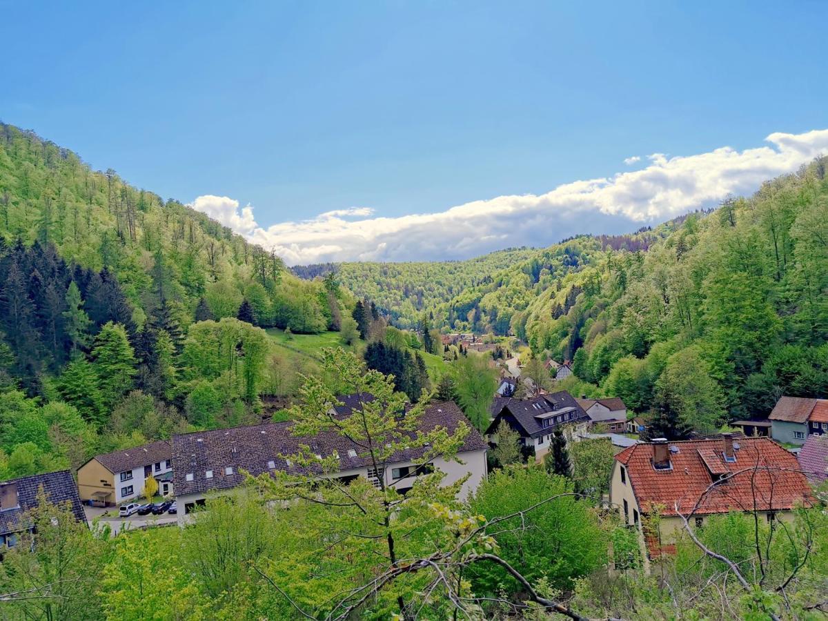 Vor Lauter Baeumen B&B Цорге Экстерьер фото