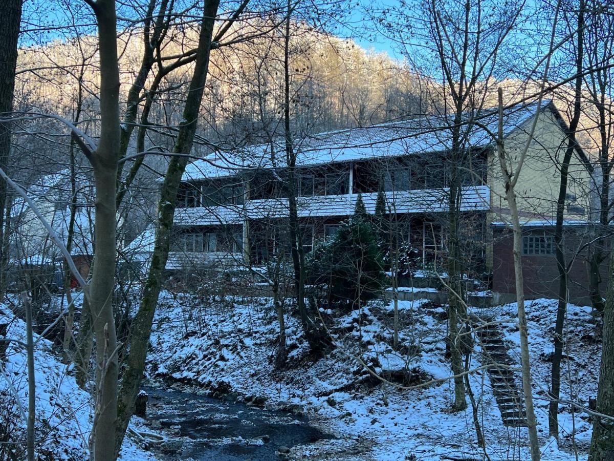 Vor Lauter Baeumen B&B Цорге Экстерьер фото